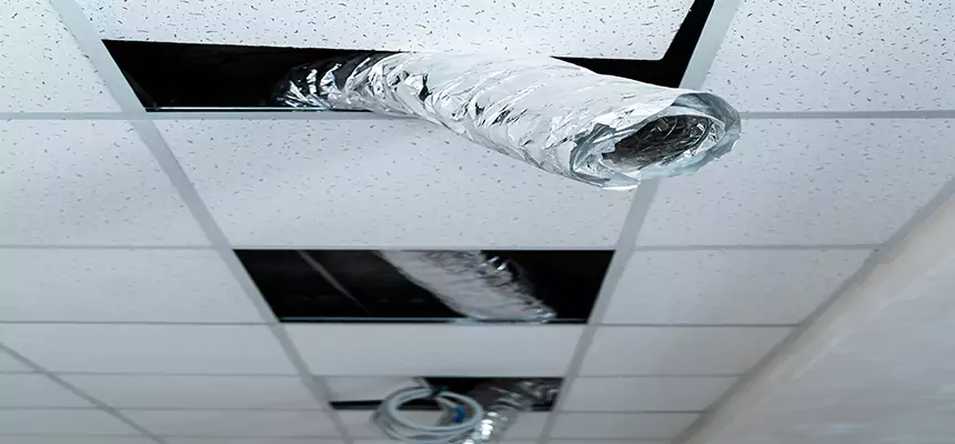 Affordable HVAC Sanitizing After Pest Removal in Mamaroneck