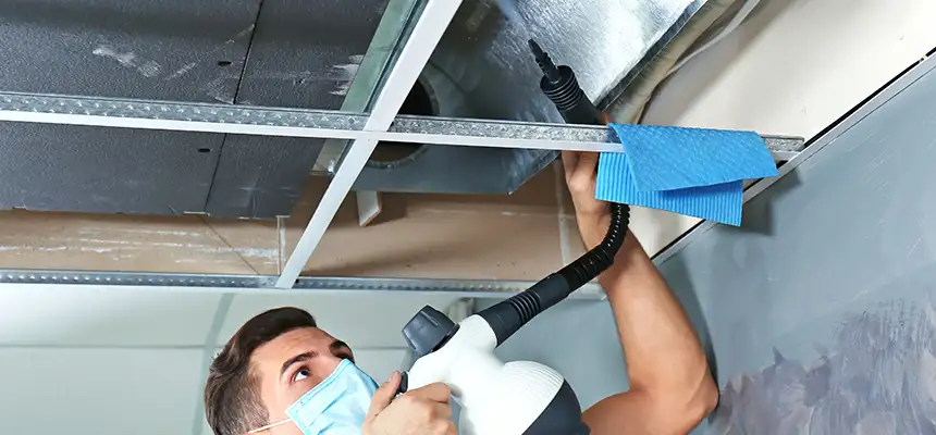 Our Air Duct Rodent Removal Services in Mamaroneck, NY