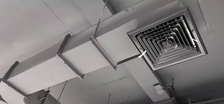 Restorative Allergy Relief Vent Cleaning – Coil, Blower & Housing Detail in Mamaroneck