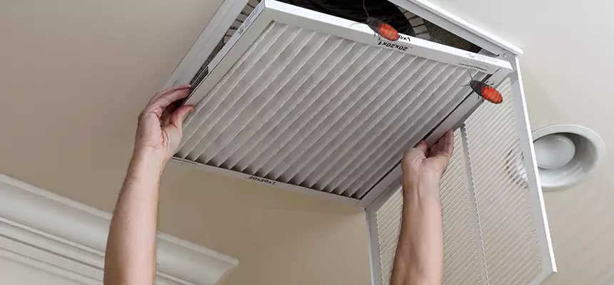Our Insect Removal from Air Ducts Services in Mamaroneck, NY