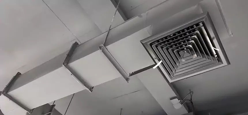 Our Pest Removal From Ducts Services in Mamaroneck, NY