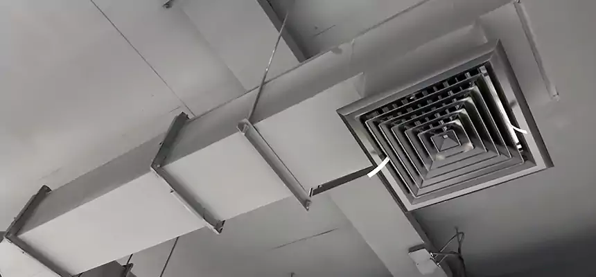 Our Rodent Droppings In Vents Services in Mamaroneck, NY