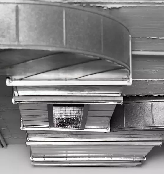 Professional Air Duct Pest Removal in Mamaroneck, NY