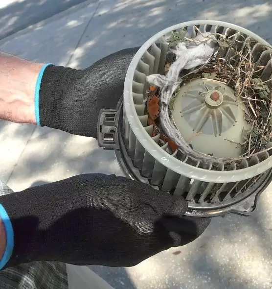 About Air Duct Rat Removal in Mamaroneck, NY