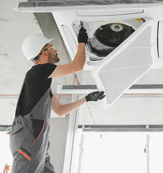 About Air Duct Rodent Removal in Mamaroneck, NY