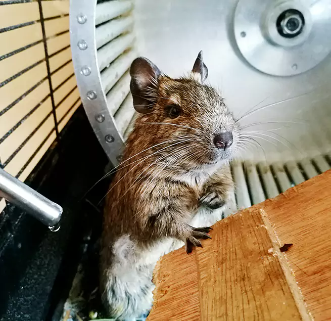 Why Homeowners & Businesses Trust Us Mamaroneck, NY